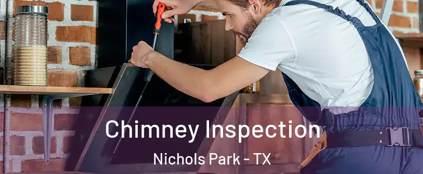 Chimney Inspection Nichols Park - TX