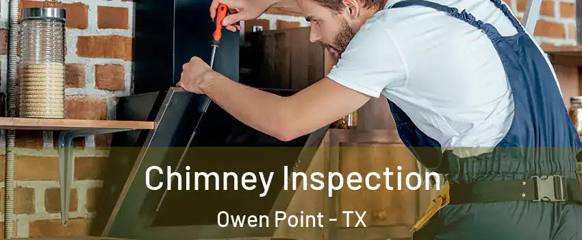 Chimney Inspection Owen Point - TX