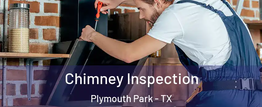 Chimney Inspection Plymouth Park - TX