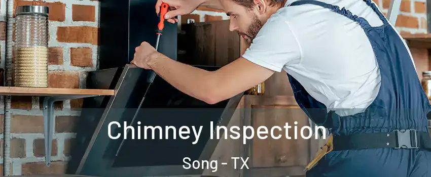 Chimney Inspection Song - TX