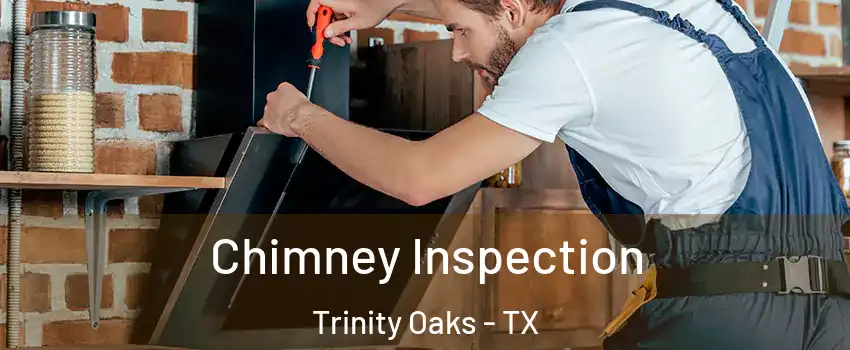 Chimney Inspection Trinity Oaks - TX