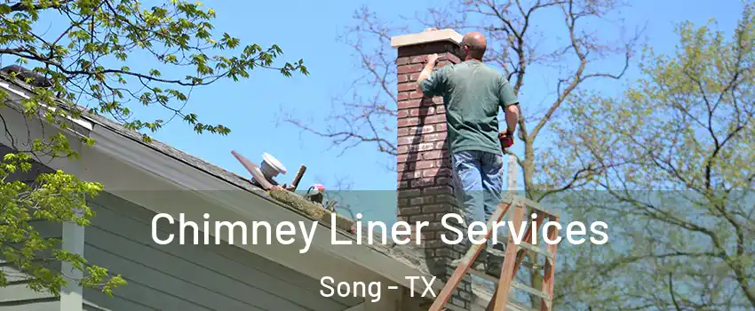Chimney Liner Services Song - TX