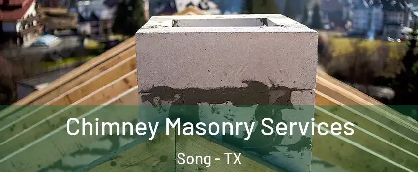 Chimney Masonry Services Song - TX