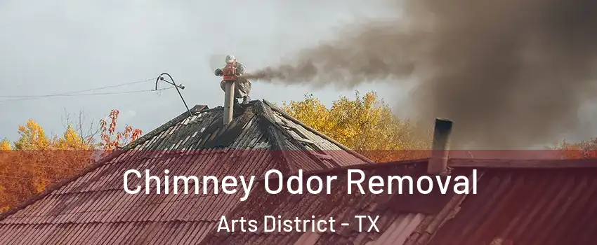 Chimney Odor Removal Arts District - TX