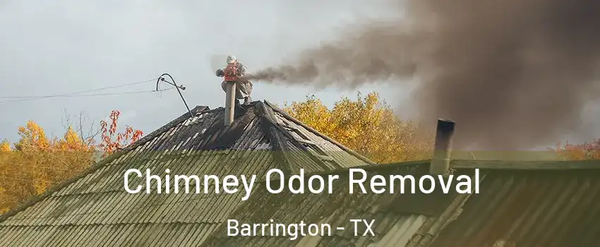 Chimney Odor Removal Barrington - TX