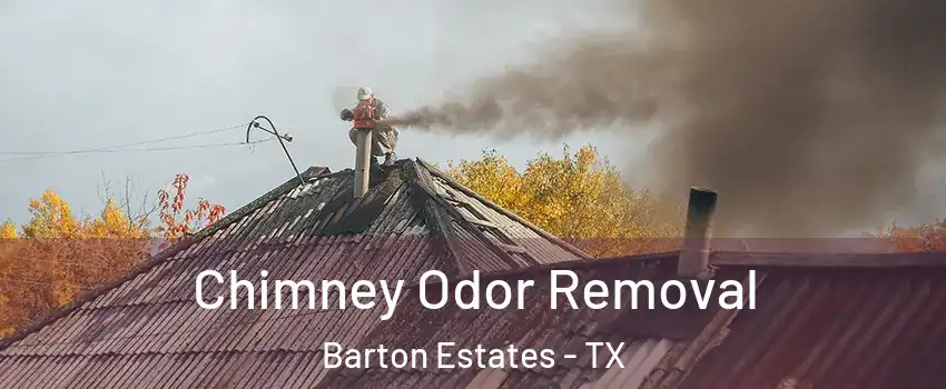 Chimney Odor Removal Barton Estates - TX