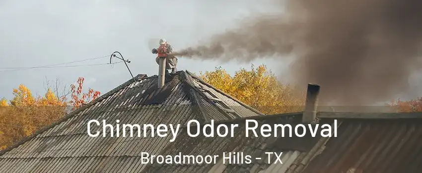 Chimney Odor Removal Broadmoor Hills - TX
