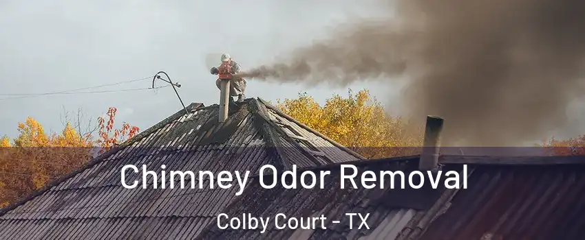Chimney Odor Removal Colby Court - TX