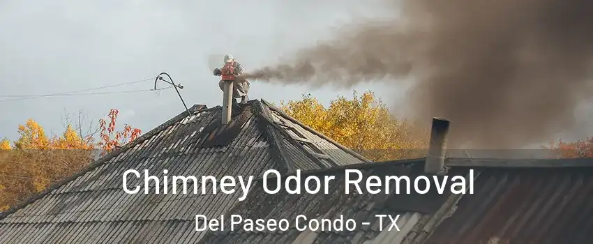Chimney Odor Removal Del Paseo Condo - TX