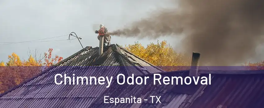 Chimney Odor Removal Espanita - TX