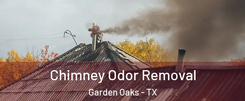 Chimney Odor Removal Garden Oaks - TX