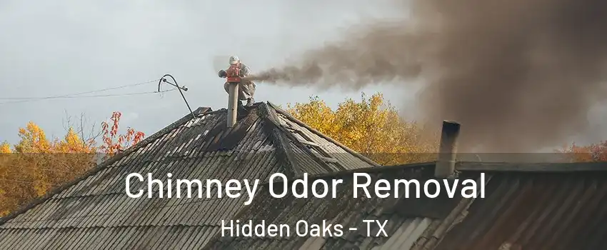 Chimney Odor Removal Hidden Oaks - TX