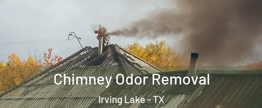 Chimney Odor Removal Irving Lake - TX