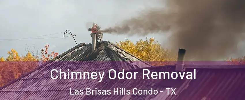 Chimney Odor Removal Las Brisas Hills Condo - TX
