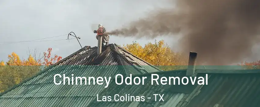 Chimney Odor Removal Las Colinas - TX