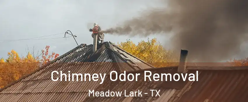 Chimney Odor Removal Meadow Lark - TX