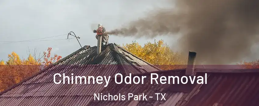 Chimney Odor Removal Nichols Park - TX
