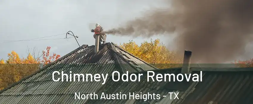Chimney Odor Removal North Austin Heights - TX