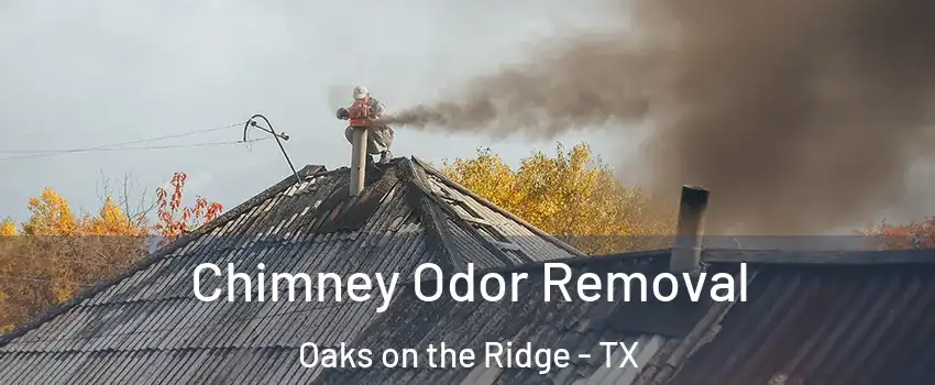 Chimney Odor Removal Oaks on the Ridge - TX