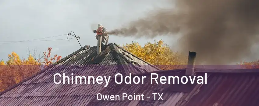 Chimney Odor Removal Owen Point - TX