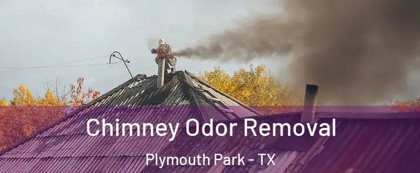 Chimney Odor Removal Plymouth Park - TX