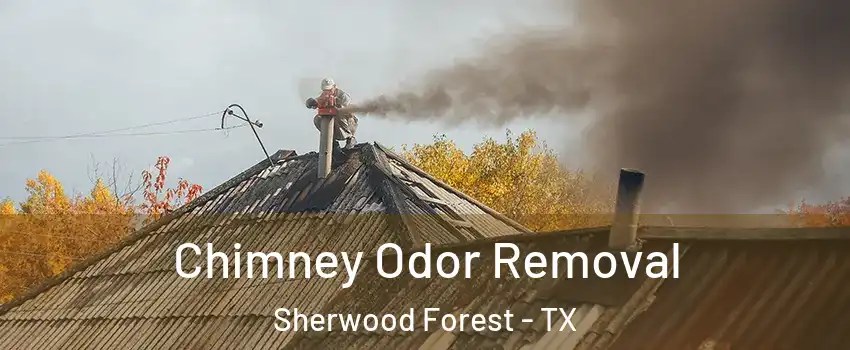 Chimney Odor Removal Sherwood Forest - TX