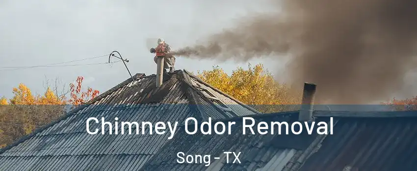 Chimney Odor Removal Song - TX