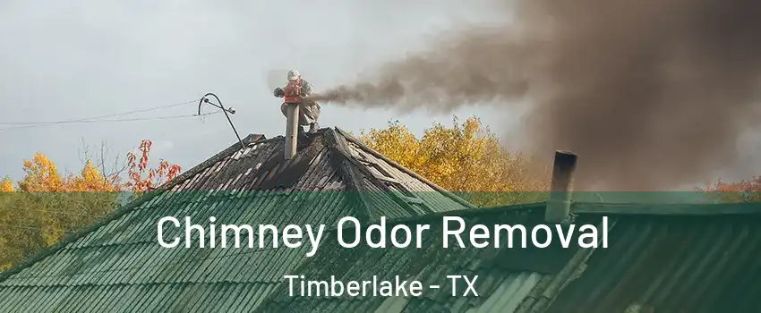 Chimney Odor Removal Timberlake - TX