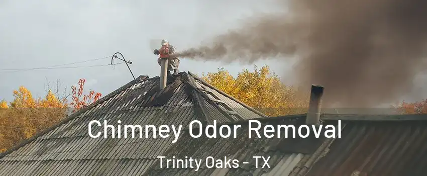 Chimney Odor Removal Trinity Oaks - TX