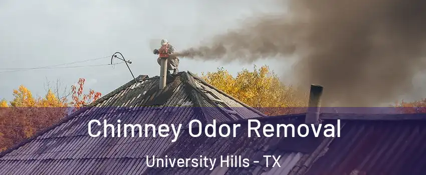 Chimney Odor Removal University Hills - TX
