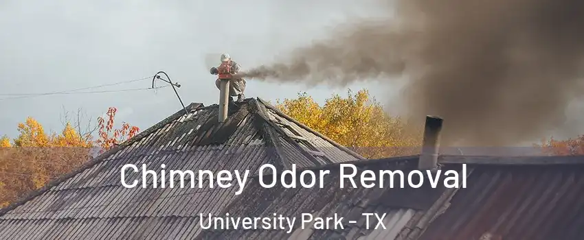 Chimney Odor Removal University Park - TX