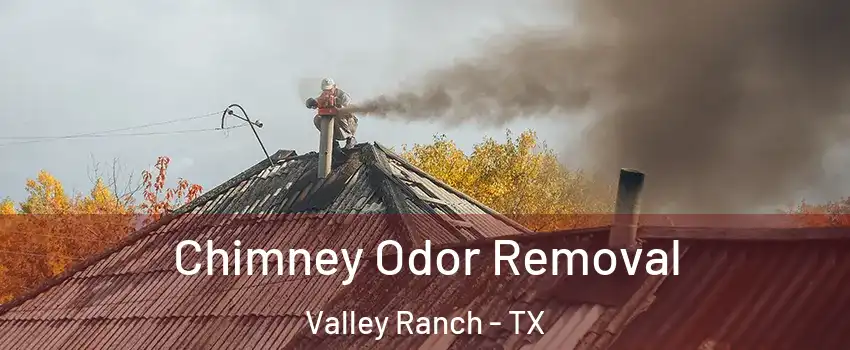 Chimney Odor Removal Valley Ranch - TX