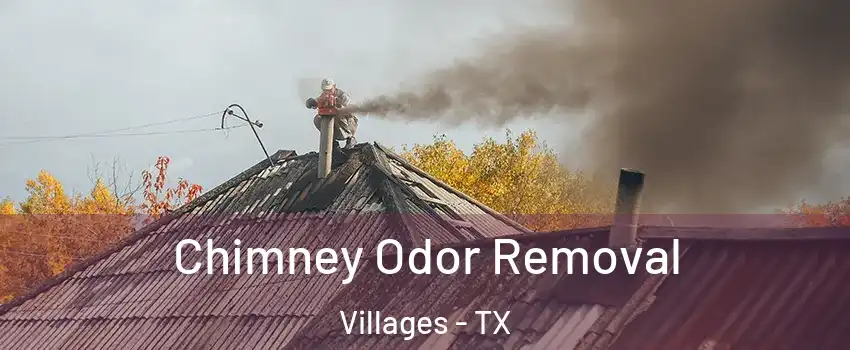 Chimney Odor Removal Villages - TX