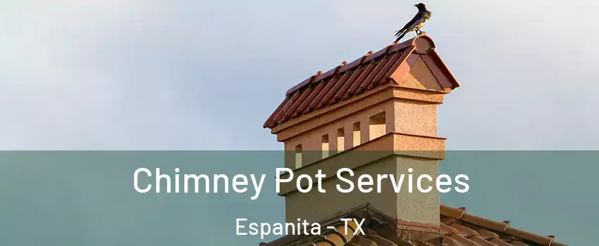 Chimney Pot Services Espanita - TX