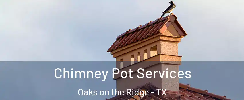 Chimney Pot Services Oaks on the Ridge - TX