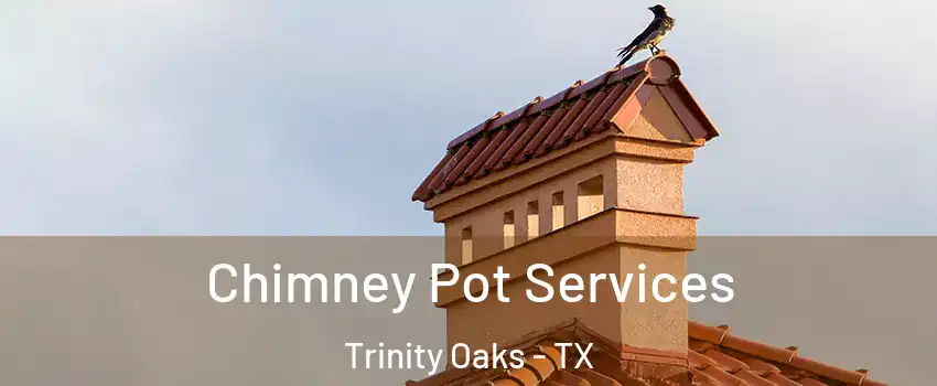 Chimney Pot Services Trinity Oaks - TX