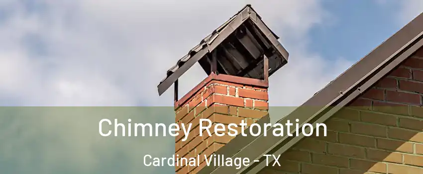 Chimney Restoration Cardinal Village - TX