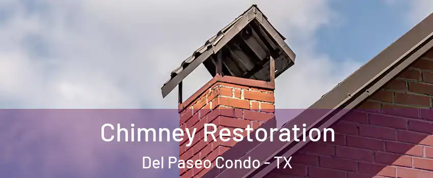 Chimney Restoration Del Paseo Condo - TX