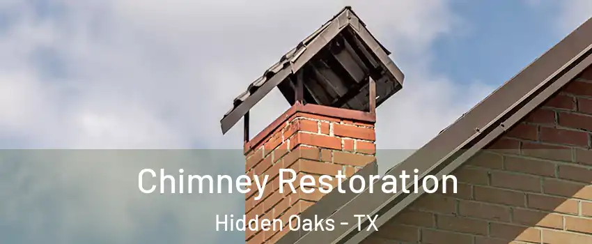 Chimney Restoration Hidden Oaks - TX