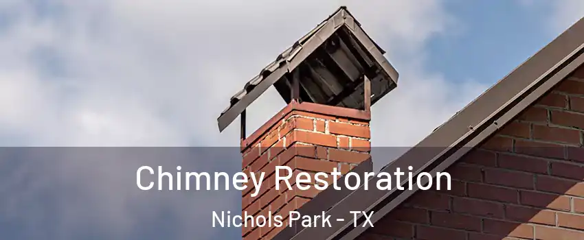 Chimney Restoration Nichols Park - TX