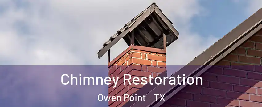 Chimney Restoration Owen Point - TX