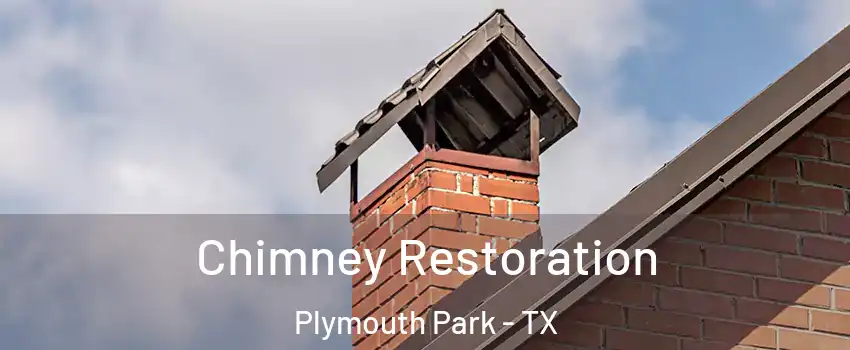 Chimney Restoration Plymouth Park - TX