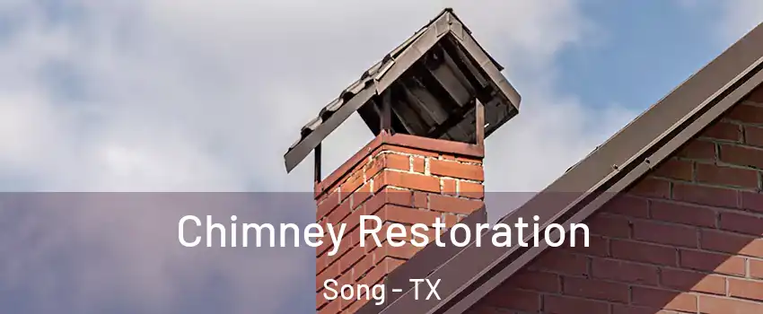 Chimney Restoration Song - TX