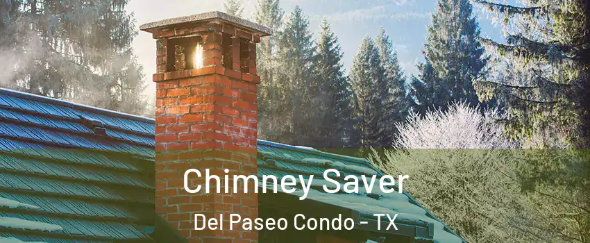 Chimney Saver Del Paseo Condo - TX