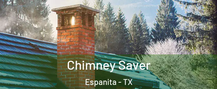 Chimney Saver Espanita - TX