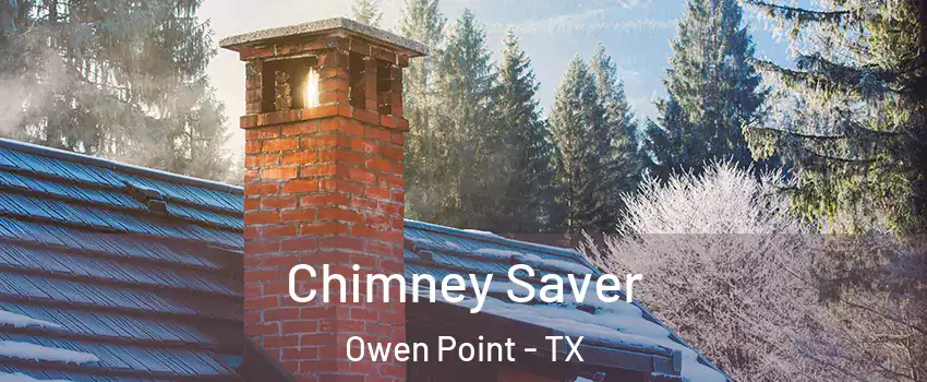 Chimney Saver Owen Point - TX