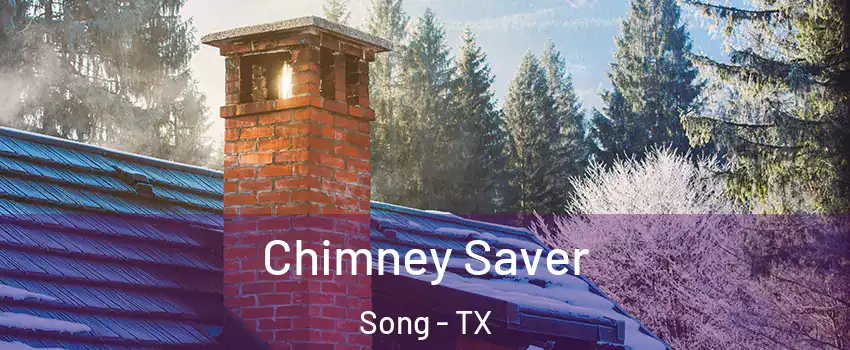 Chimney Saver Song - TX