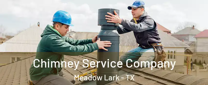 Chimney Service Company Meadow Lark - TX