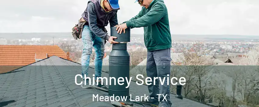 Chimney Service Meadow Lark - TX