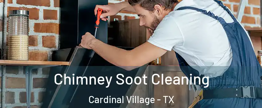 Chimney Soot Cleaning Cardinal Village - TX